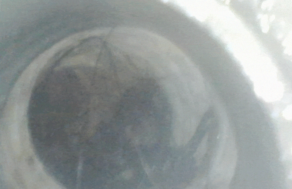 cf412900fa1f98853956d46ca9432d30_1717728759_9945.gif